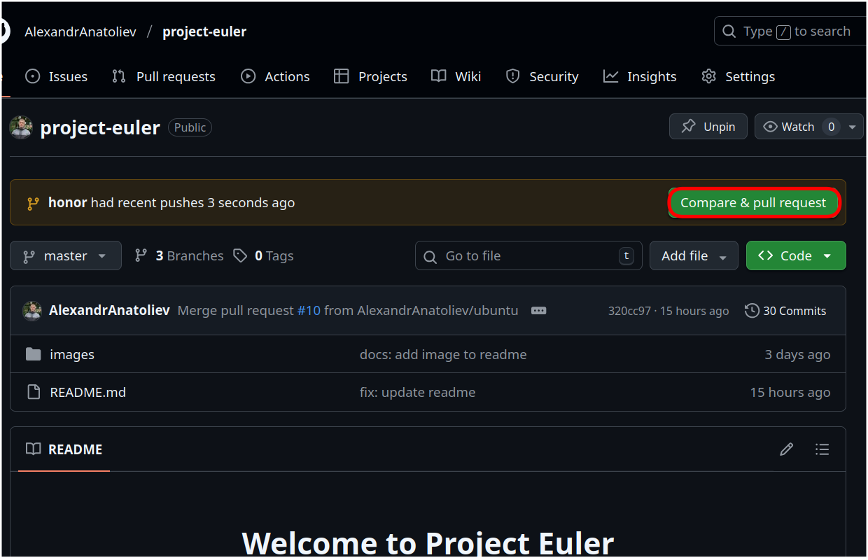 Кнопка Pull Request